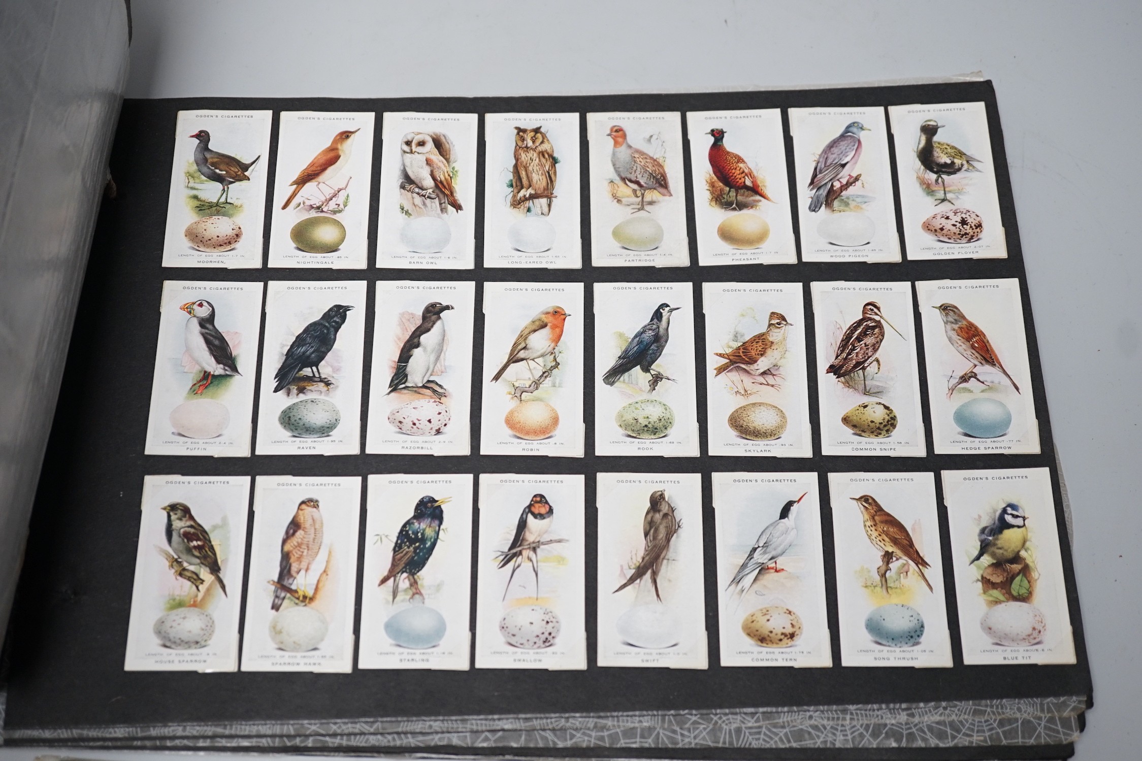 Cigarette and tea cards and loose stamps, including sets of British birds by Phillips, Ogdens and Carrolls